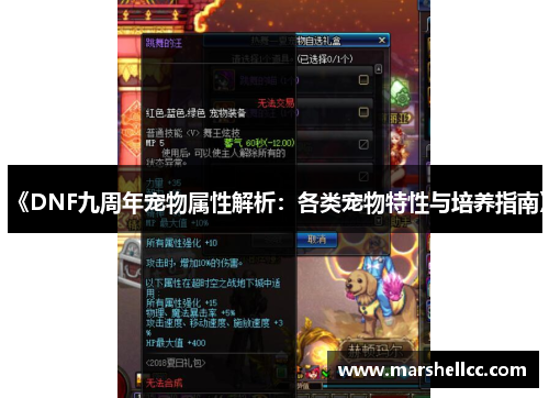《DNF九周年宠物属性解析：各类宠物特性与培养指南》
