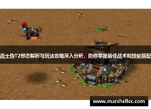 战士伪T2形态解析与玩法攻略深入分析，助你掌握最佳战术和技能搭配